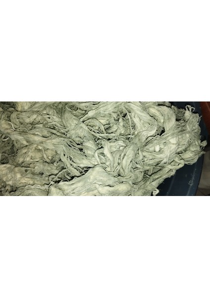 Küflü Çeçil Peynir