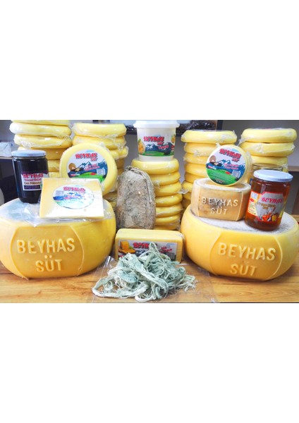 Küflü Çeçil Peynir modelleri