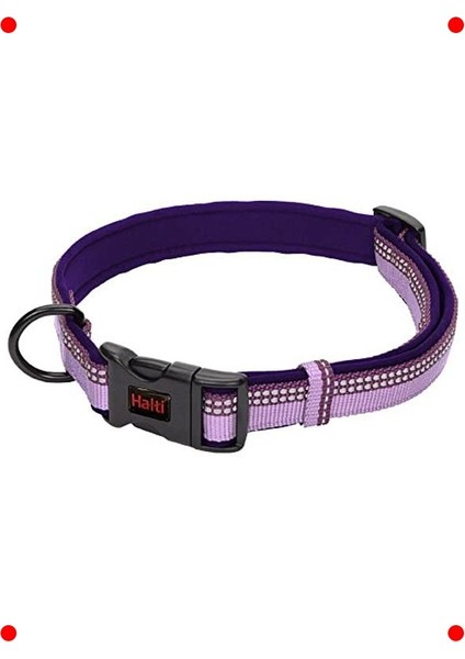 Konforlu Köpek Kontrol Tasması – Yansıtıcı L Boy Mor
