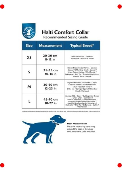 Konforlu Köpek Kontrol Tasması – Yansıtıcı L Boy Mor indirimleri