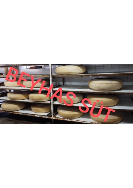 Gravyer Peyniri modelleri