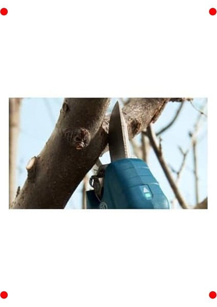 Akülü Bahçe Budama Makası (25 mm Kesim) fiyatları