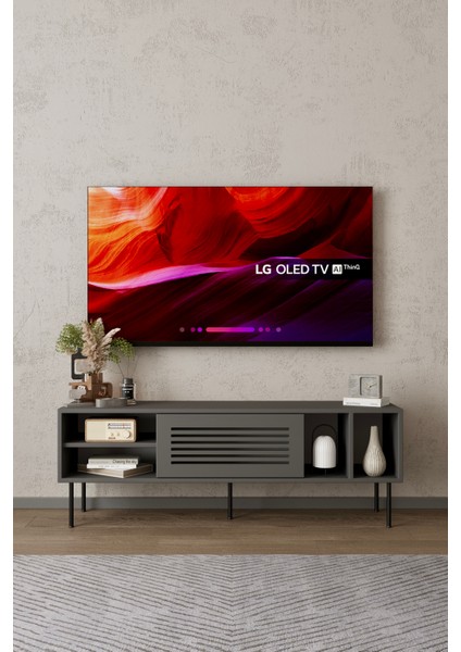 Umay Panjur Kapaklı Tv Ünştesi