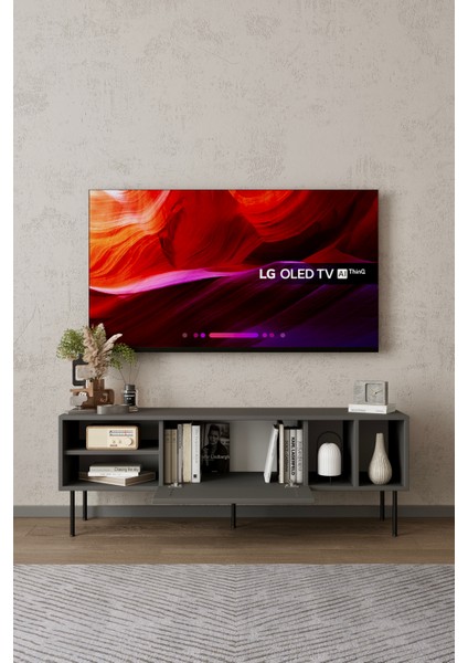 Umay Panjur Kapaklı Tv Ünştesi fiyatları