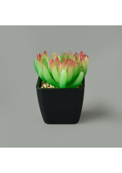 Mini Saksıda Yapay Çiçek - Asorti - 11X5 cm