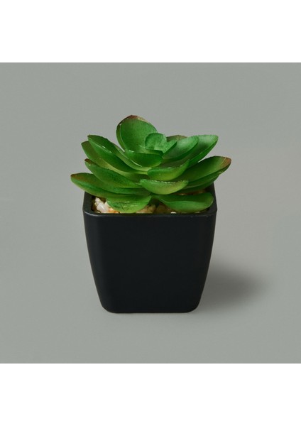 Mini Saksıda Yapay Çiçek - Asorti - 11X5 cm modelleri