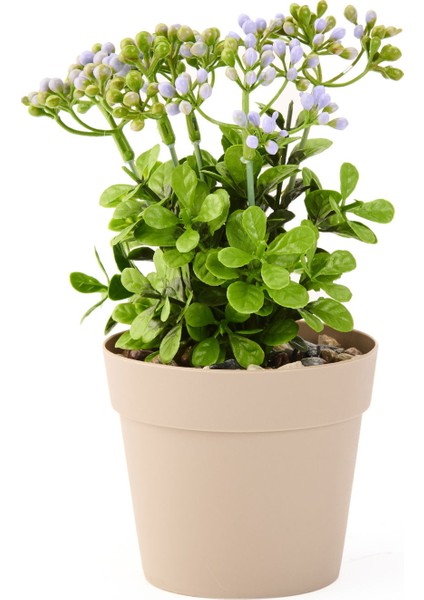 Dekor Saksılı Yapay Kokina Çiçek - Asorti - 17X6 cm fiyatları