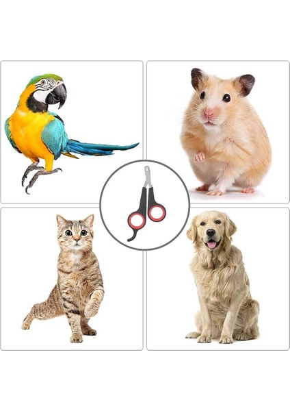 Evcil Hayvan Tırnak Makası - Büyük Kedi/köpek Için