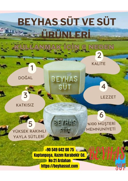 Tam Yağlı Eski Kaşar 500 Gram fiyatları
