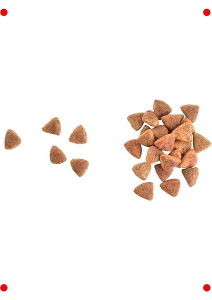 Somon Tavuklu Tahılsız Kedi Maması 7 kg fiyatları