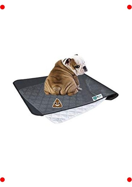 Yıkanabilir Köpek Eğitim Pedi 90X60 cm (3 Katmanlı)
