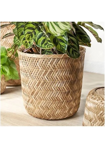 Klynnon Bambu Saksı Bambu 24 cm fırsatları