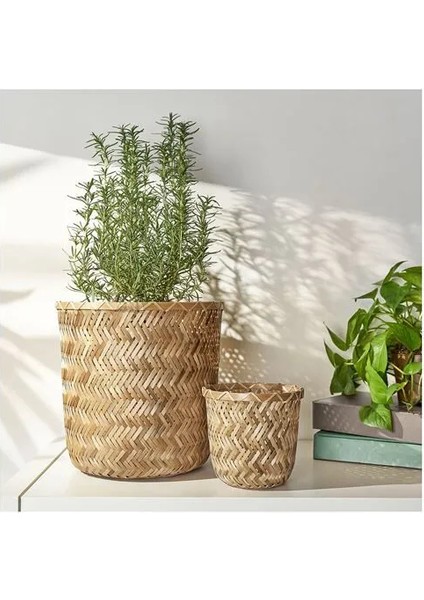 Klynnon Bambu Saksı Bambu 24 cm indirimleri