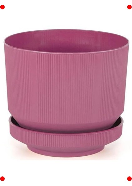 Büyük Boy Tabaklı Saksı - Fuşya, 9 Litre