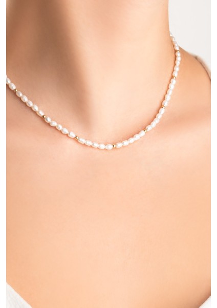 Doğal Inci Taşlı 42 cm 14 Ayar Sarı Altın Kolye fiyatları