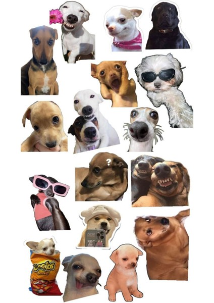 Köpek Telefon Laptop Notebook Tablet Defter Matara Stiker Etiket ST2139