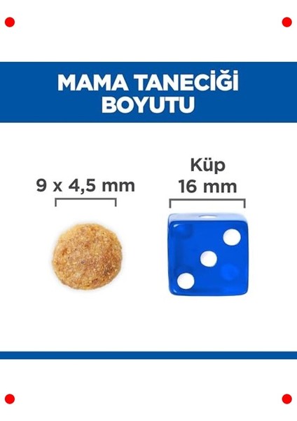 Tavuklu Yetişkin Kedi Maması 8+2 kg indirimleri