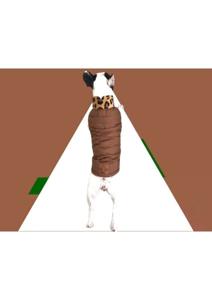 NOVABLAF Bronzleopar Polar Astarlı Su Geçirmez Köpek Montu modelleri