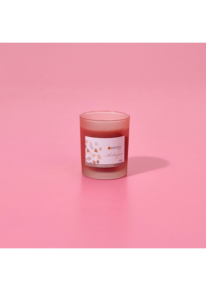 Deco Melagne Mum - Somon - 130 gr fiyatları