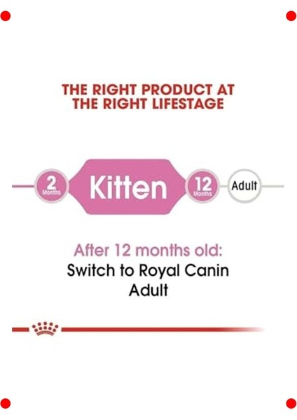 Yavru Kedi Kuru Maması 4 kg modelleri