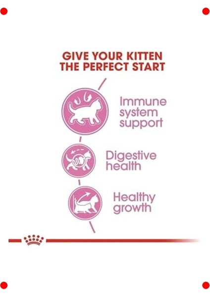 Yavru Kedi Kuru Maması 4 kg fırsatları