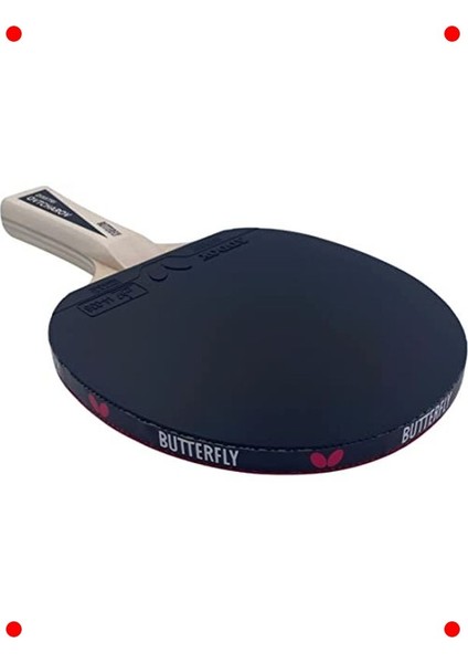 Masa Tenisi Raket ve Top Seti indirimleri