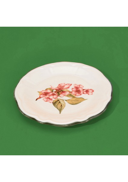 Kitchen Orchid 6'lı Tatlı Tabağı - Renkli