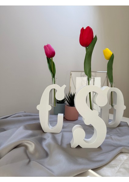 Harf Vazo - S modelleri