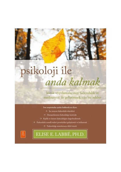 Psikoloji Ile Anda Kalmak Klinik Uygulamalarınızı Farkındalık ve Meditasyon ile Geliştirmek Için Bir Rehber / Psychology Moment By Moment - A Guide To Enhancing Your Clinical S Elise E. Labbe