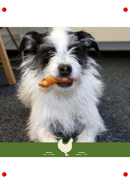 Küçük Boy Tavuklu Köpek Ödül Kemiği 18 Adet, 228 gr indirimleri