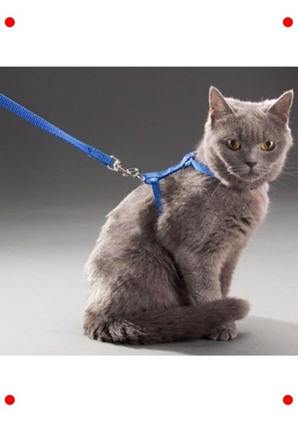 Kedi Göğüs Tasması: Ayarlanabilir, Konforlu, 110 cm