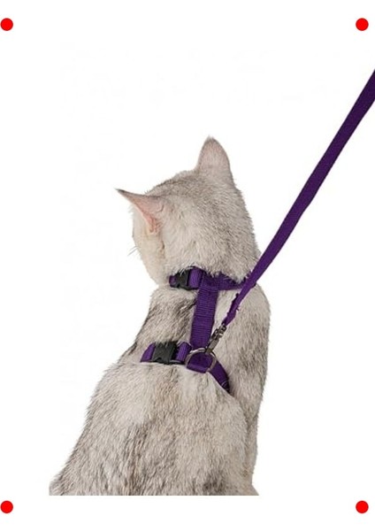 Kedi Göğüs Tasması: Ayarlanabilir, Konforlu, 110 cm modelleri