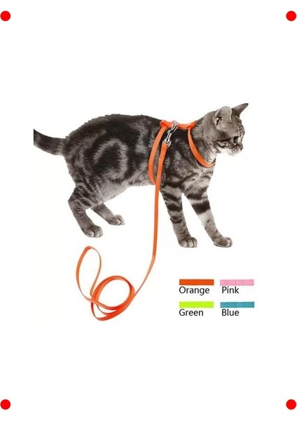 Kedi Göğüs Tasması: Ayarlanabilir, Konforlu, 110 cm fırsatları