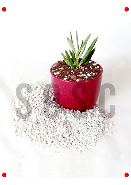 Premium Tarım Perliti 1 Lt - Köklendirici & Drenaj modelleri