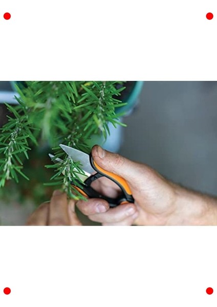 Bahçe ve Bitki Için Mini Budama Makası fırsatları