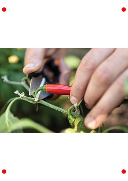 Bahçe ve Bitki Için Mini Budama Makası indirimleri