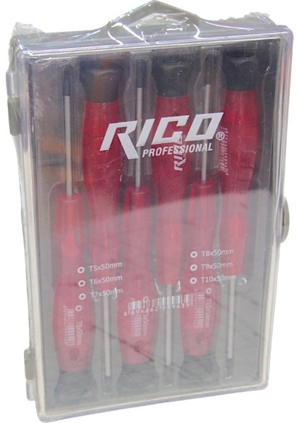 Professıonal 6'lı Mikro Torx Tornavida Saatçi Seti