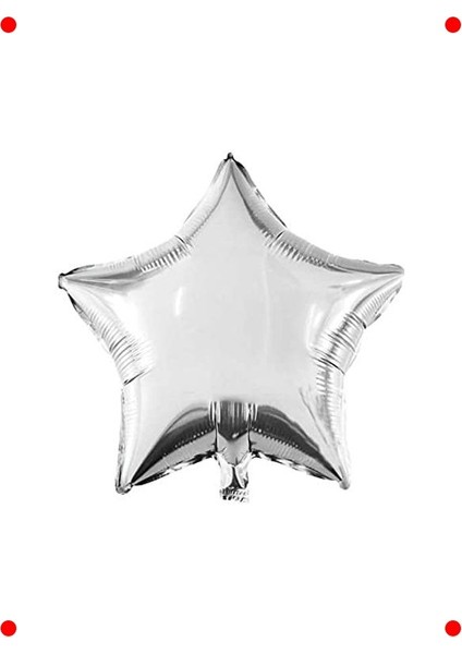 2 Yaş Gümüş Temalı Doğum Günü Kutlama Seti indirimleri