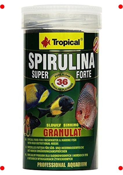 Spirulina Granül Balık Yemi - %36 Platensis (250 Ml)