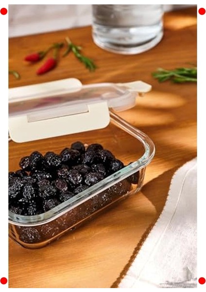 Borosilikat Saklama Kabı - 1050 ml fiyatları