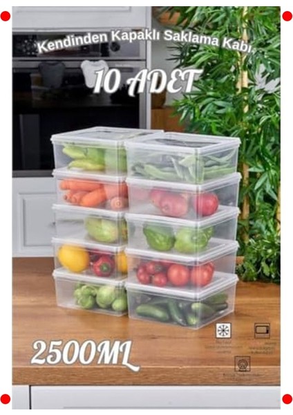 10'lu Kare Şeffaf Saklama Kabı Seti - 2500ML