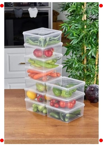 10'lu Kare Şeffaf Saklama Kabı Seti - 2500ML modelleri
