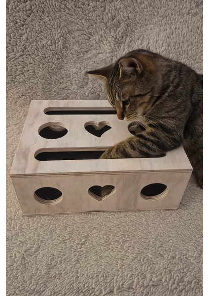 (Mistikhane) - Kedi Tırnak Törpüsü ve Oyun Kutusu ( L Model ) fiyatları