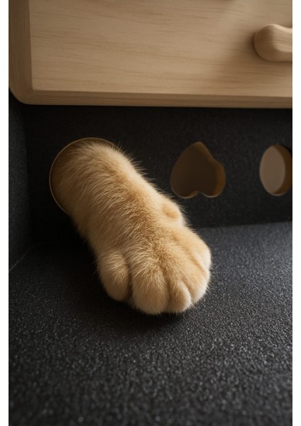 (Mistikhane) - Kedi Tırnak Törpüsü ve Oyun Kutusu ( L Model ) fırsatları