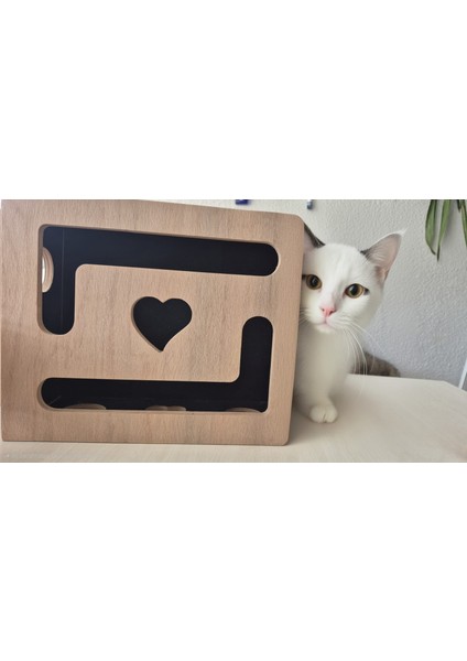 (Mistikhane) - Kedi Tırnak Törpüsü ve Oyun Kutusu ( L Model ) modelleri