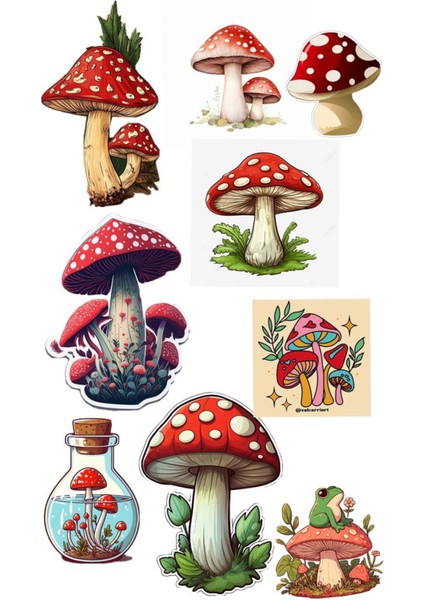 Mantar Telefon Laptop Notebook Tablet Defter Matara Stiker Etiket ST2076