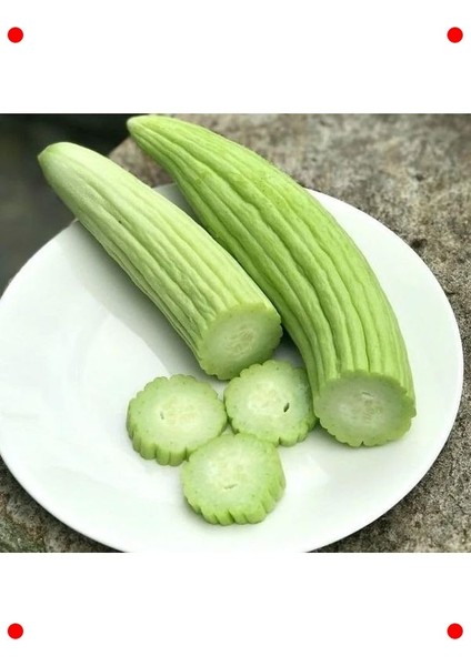 Taze Acur Tohumu (5 Gr) - Sağlıklı Salatalar Için fiyatları