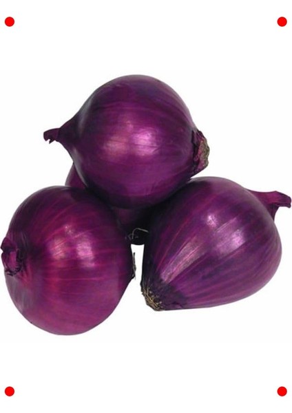 Mor Soğan Tohumu (3 Gr) - Renkli ve Keskin