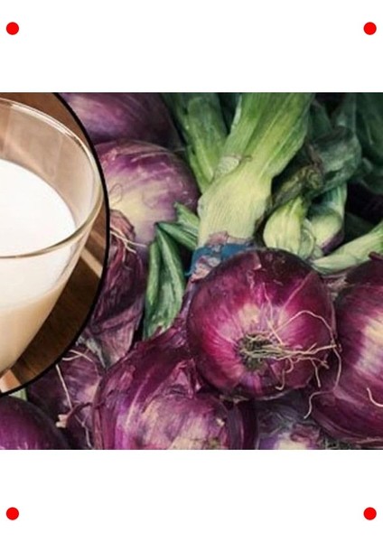 Mor Soğan Tohumu (3 Gr) - Renkli ve Keskin modelleri