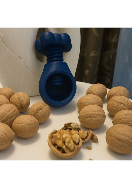 Ceviz ve Fındık Kıracağı